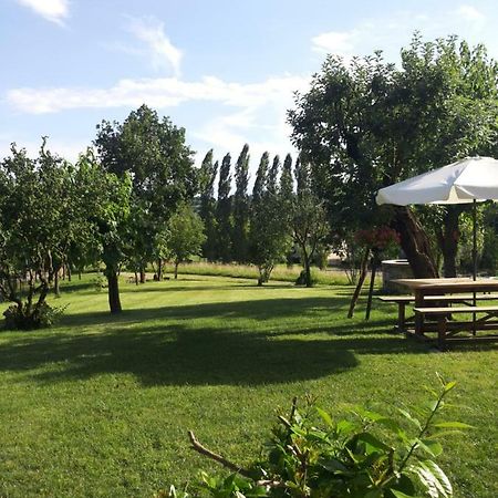 Pederobba B&B Santa Fosca מראה חיצוני תמונה