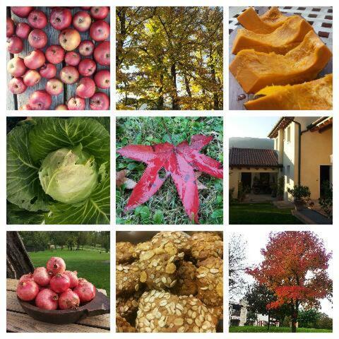 Pederobba B&B Santa Fosca מראה חיצוני תמונה